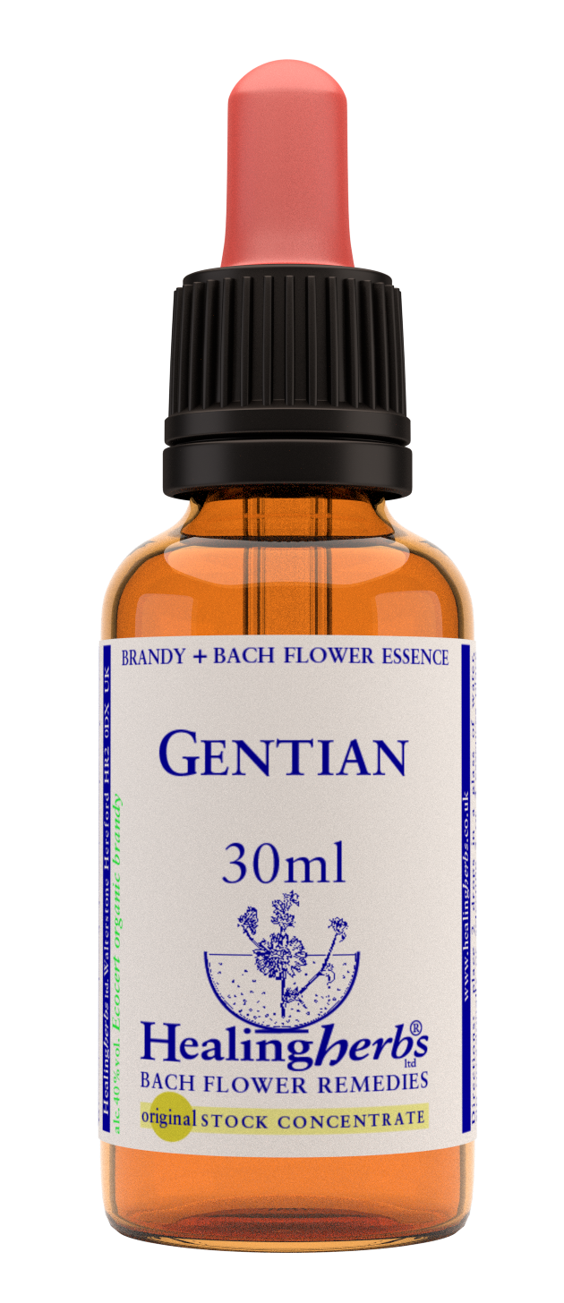 Healing Herbs Ltd Gentian 30ml