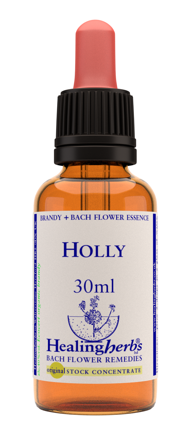 Healing Herbs Ltd Holly 30ml