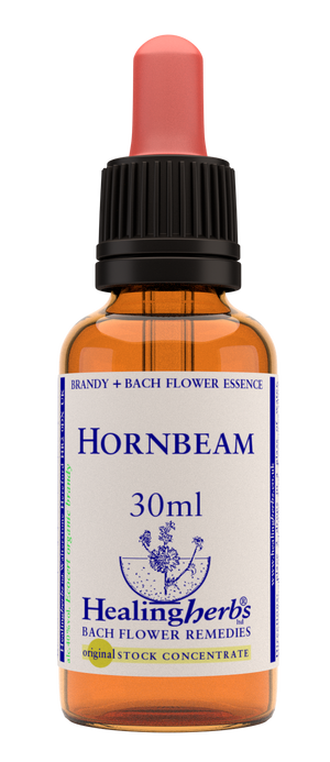 hornbeam 30ml