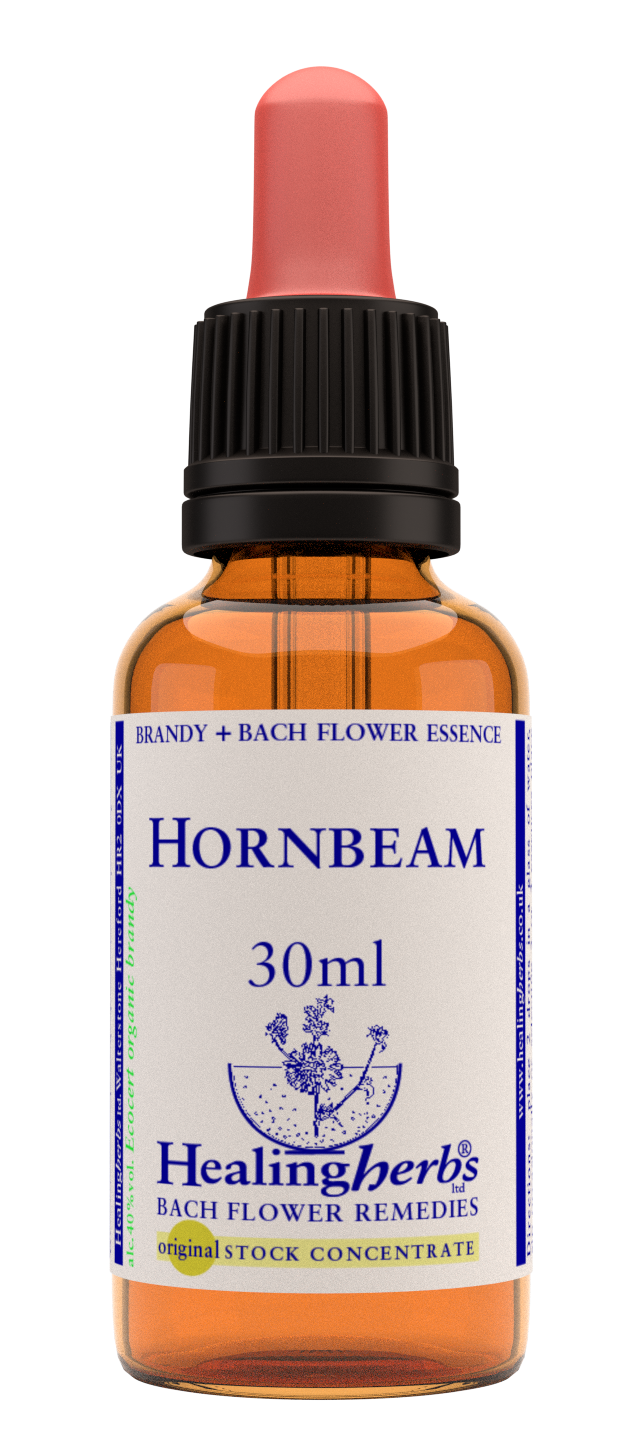 Healing Herbs Ltd Hornbeam 30ml