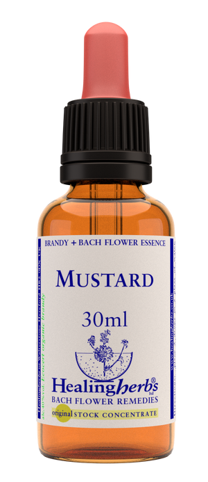 mustard 30ml