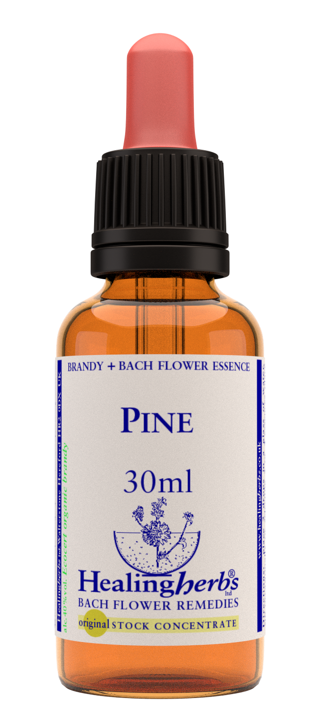 Healing Herbs Ltd Pine 30ml