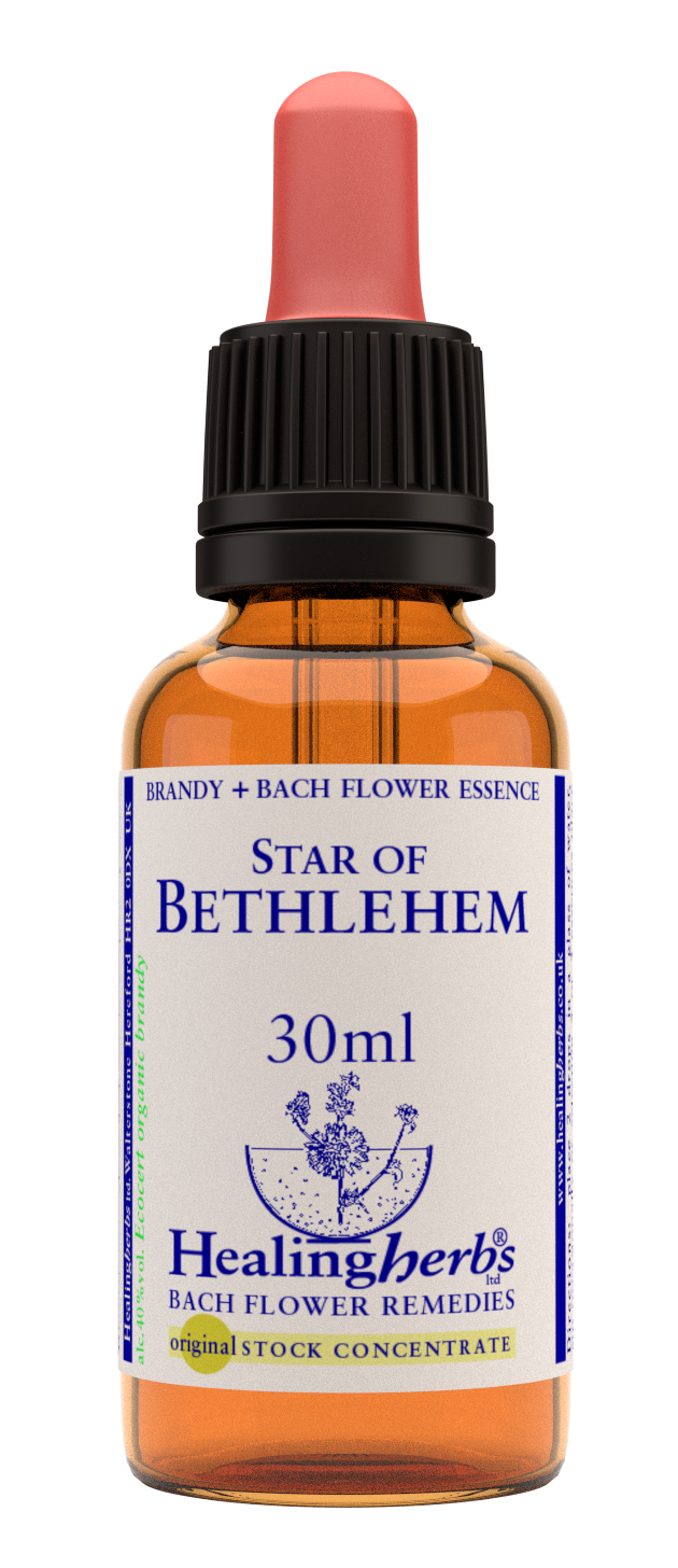 Healing Herbs Ltd Star of Bethlehem 30ml