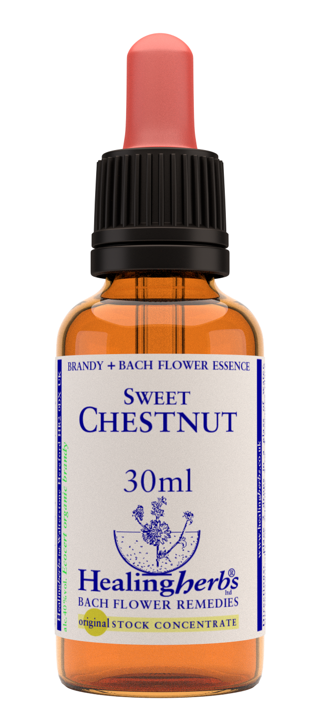 Healing Herbs Ltd Sweet Chestnut 30ml