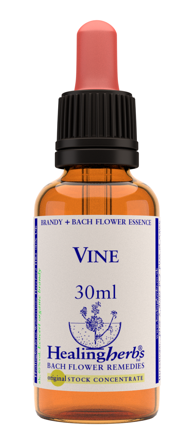 Healing Herbs Ltd Vine 30ml