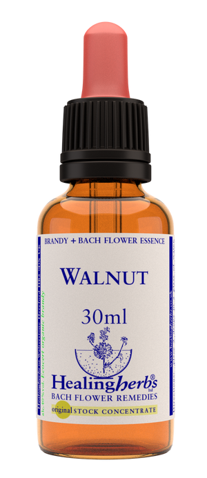 walnut 30ml