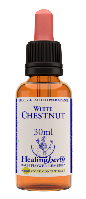 white chestnut 30ml