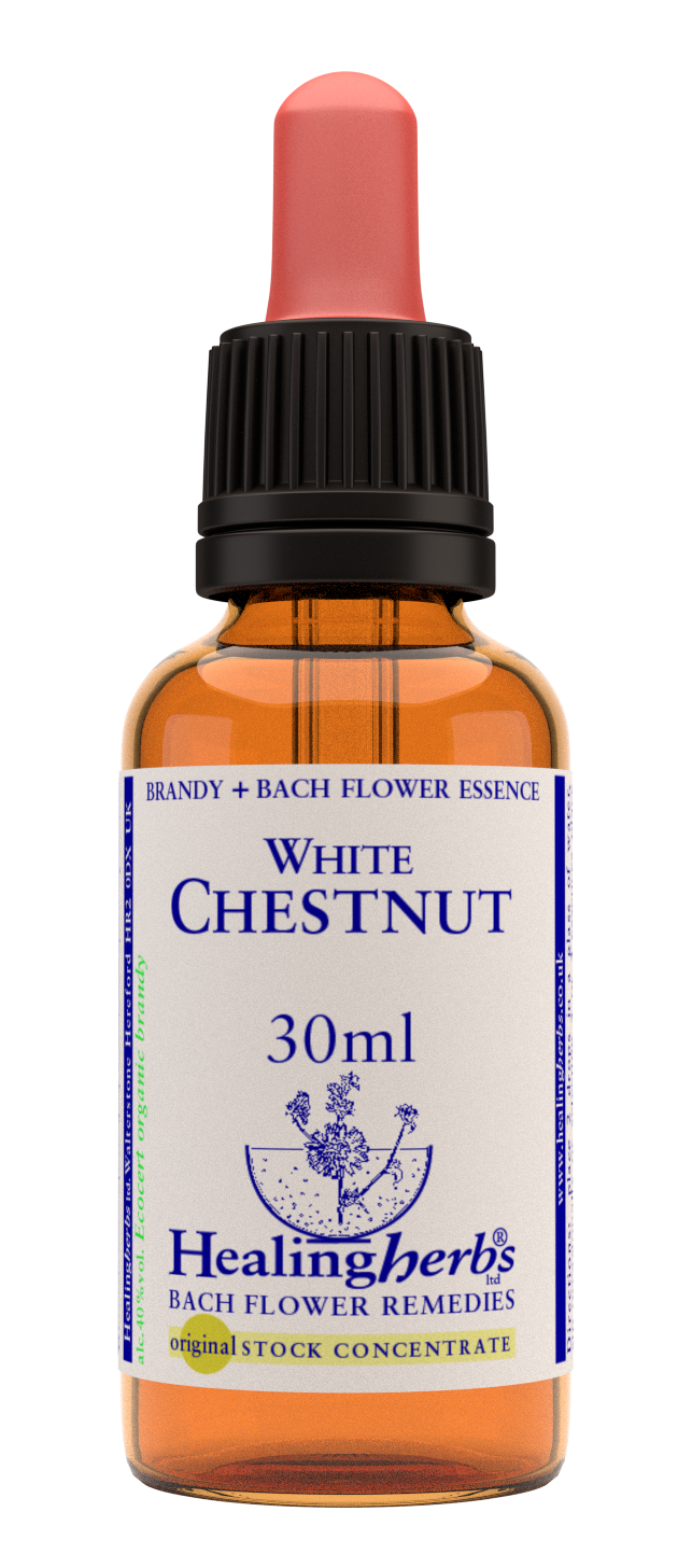 Healing Herbs Ltd White Chestnut 30ml