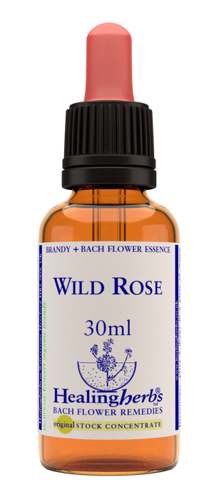 wild rose 30ml