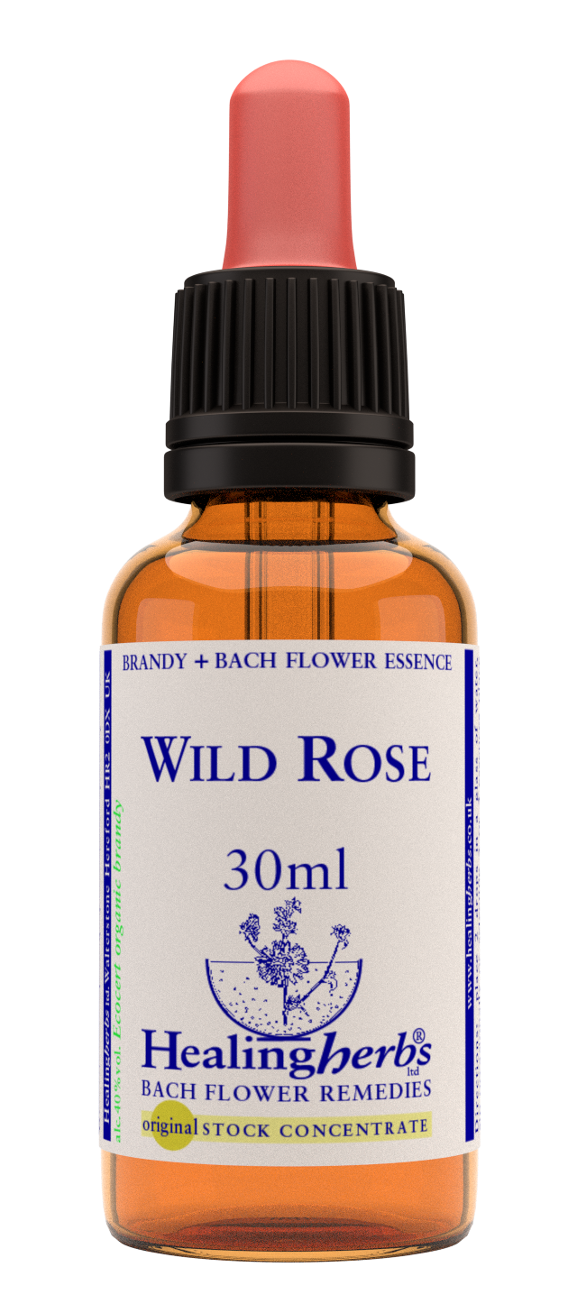 Healing Herbs Ltd Wild Rose 30ml