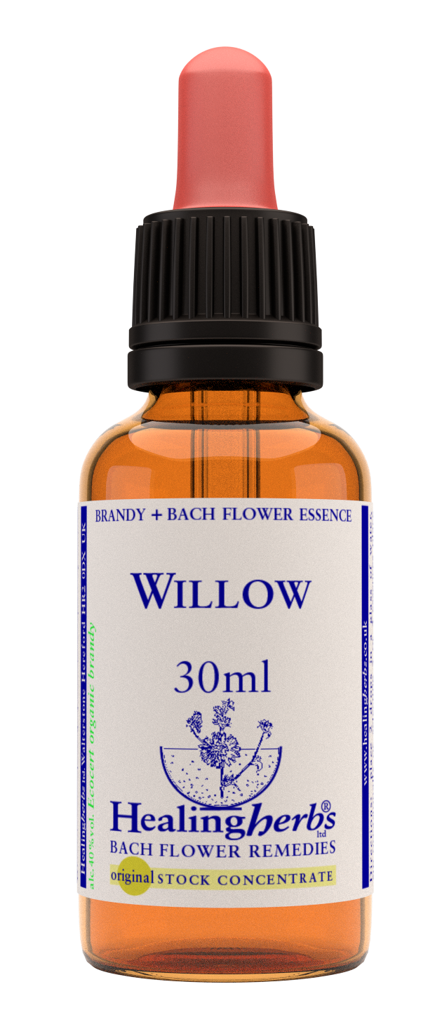 Healing Herbs Ltd Willow 30ml