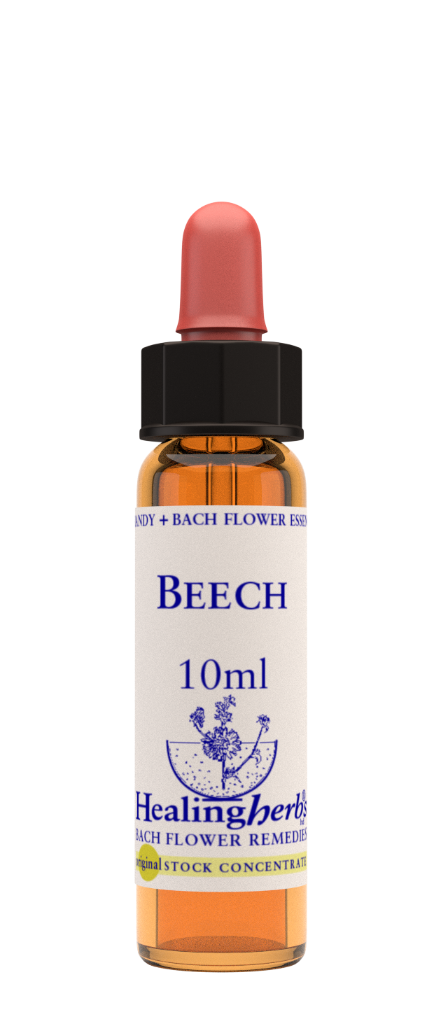 Healing Herbs Ltd Beech 10ml
