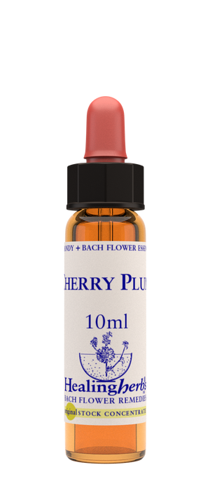 cherry plum 10ml