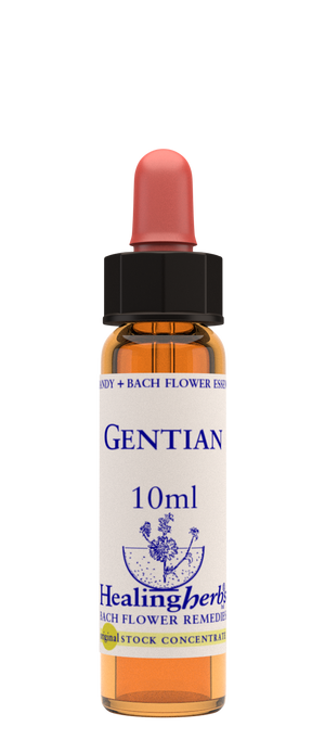 gentian 10ml