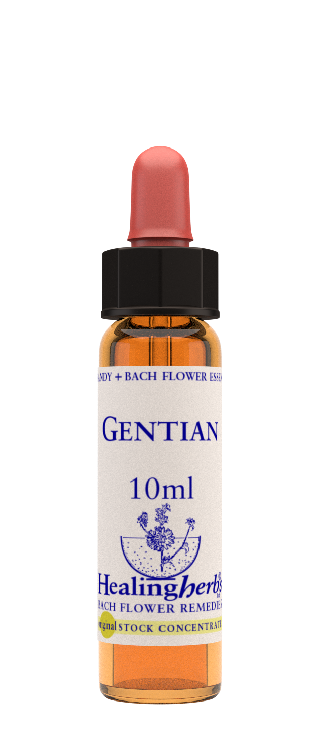 Healing Herbs Ltd Gentian 10ml