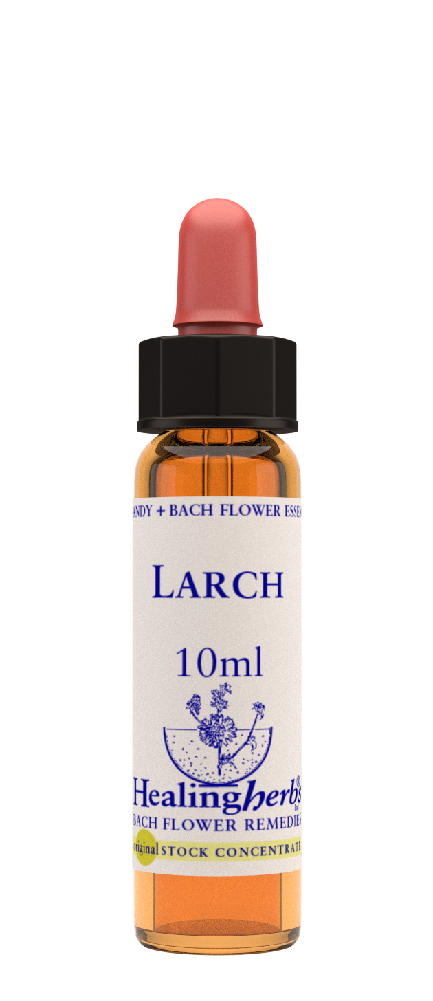 Healing Herbs Ltd Larch 10ml