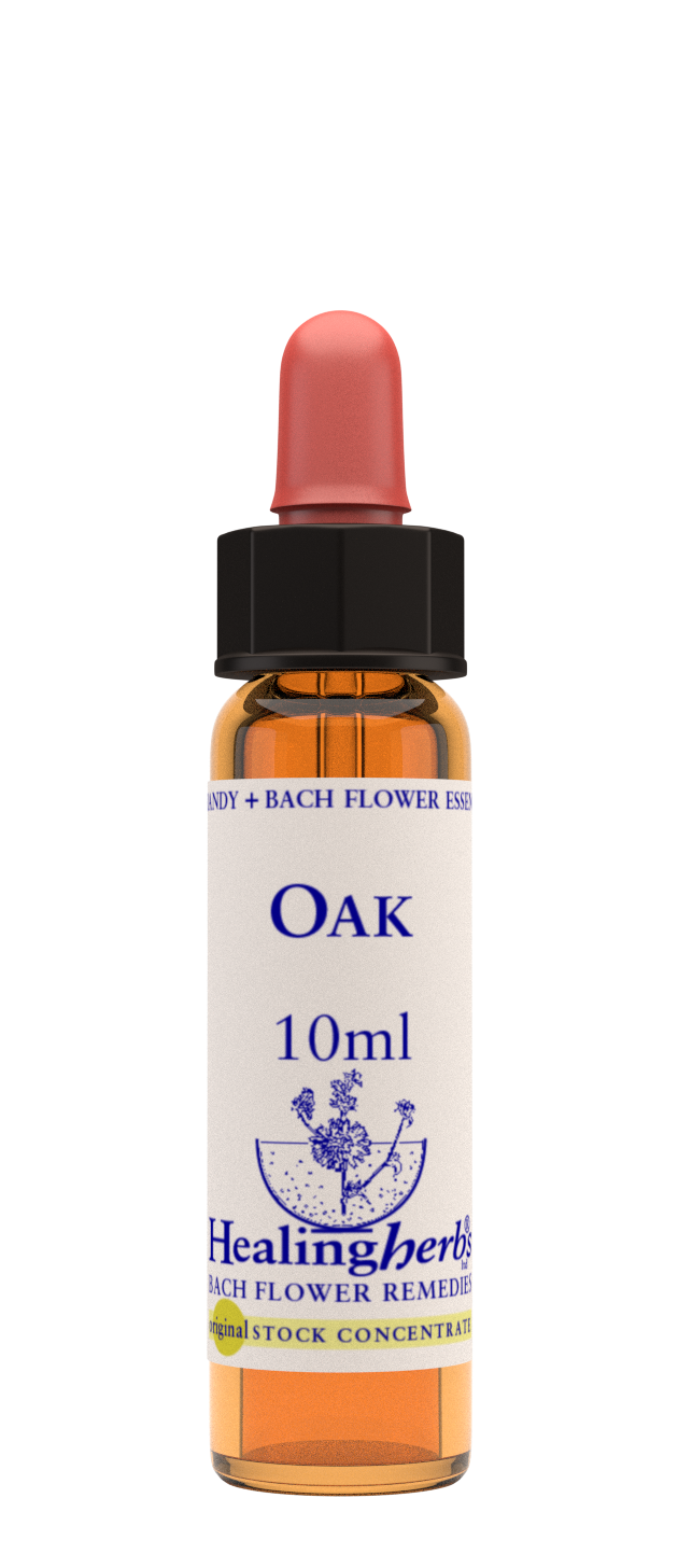 Healing Herbs Ltd Oak 10ml