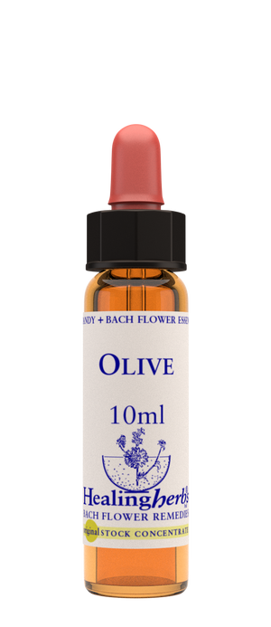 olive 10ml