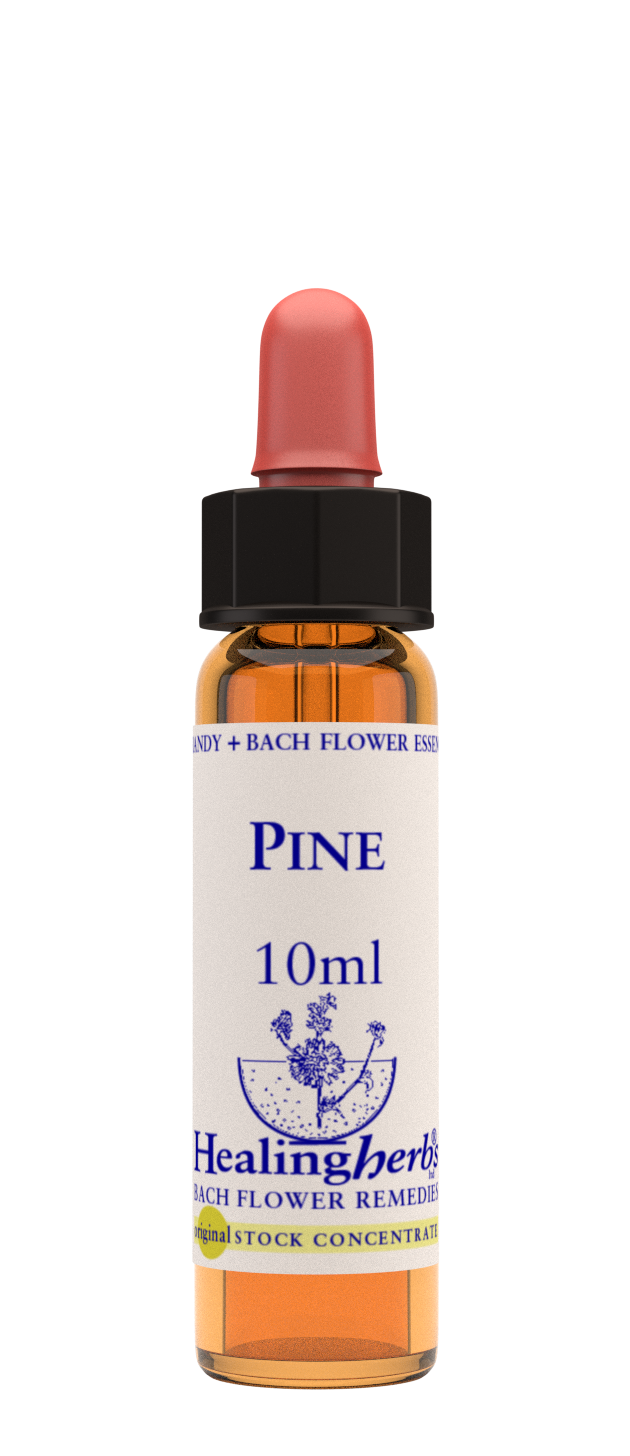 Healing Herbs Ltd Pine 10ml