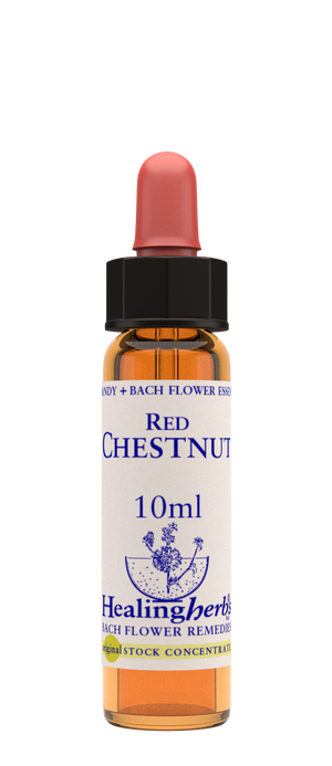 red chestnut 10ml