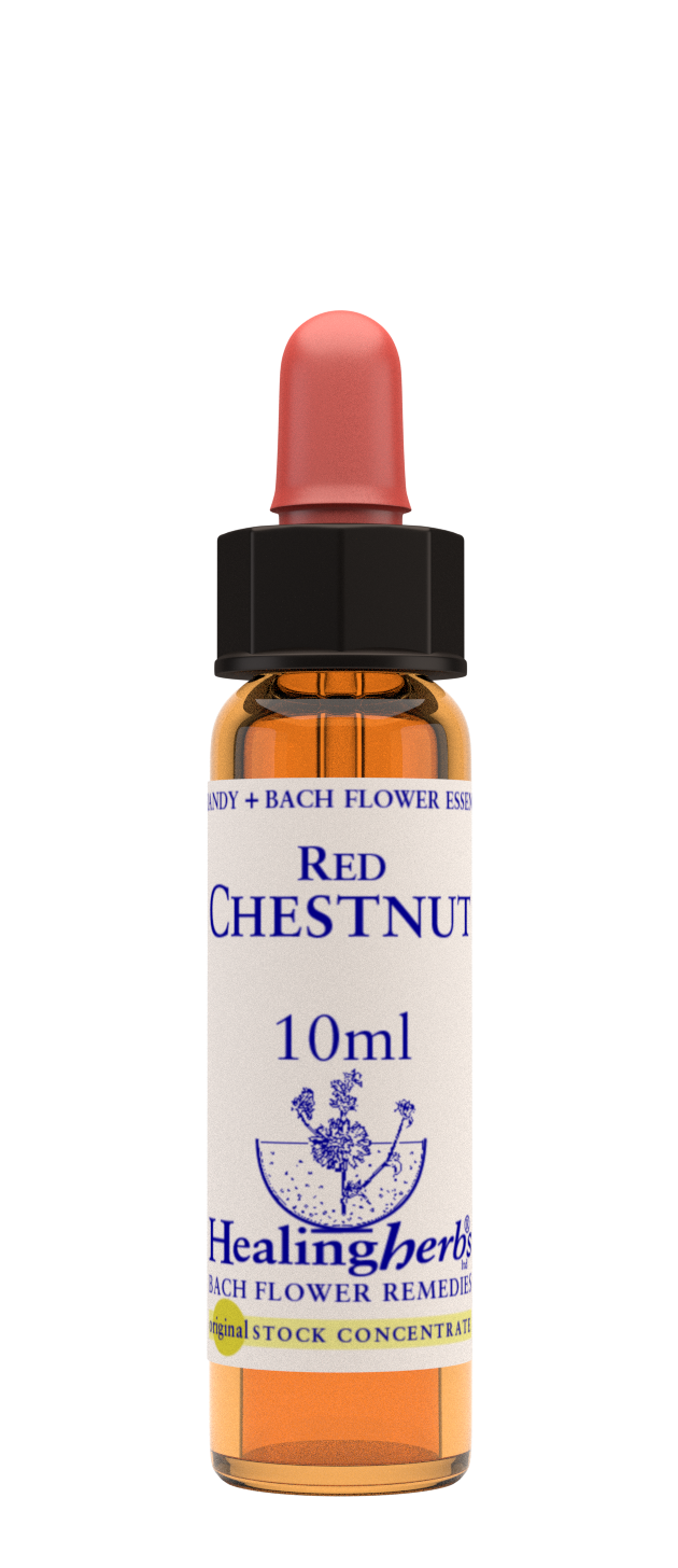 Healing Herbs Ltd Red Chestnut 10ml