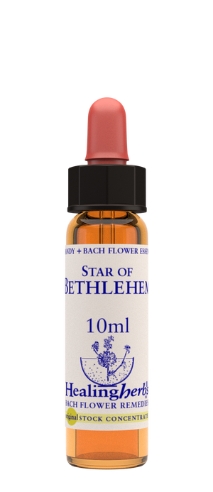 star of bethlehem 10ml