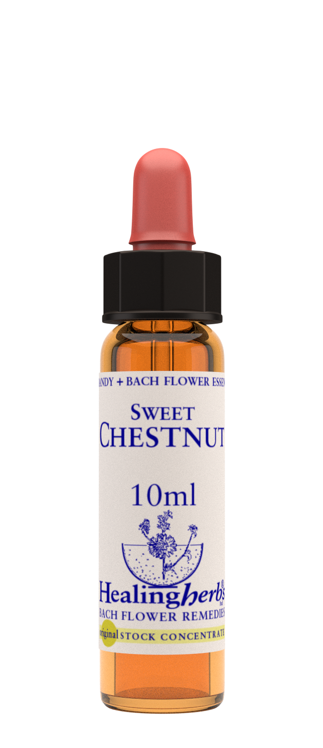 Healing Herbs Ltd Sweet Chestnut 10ml