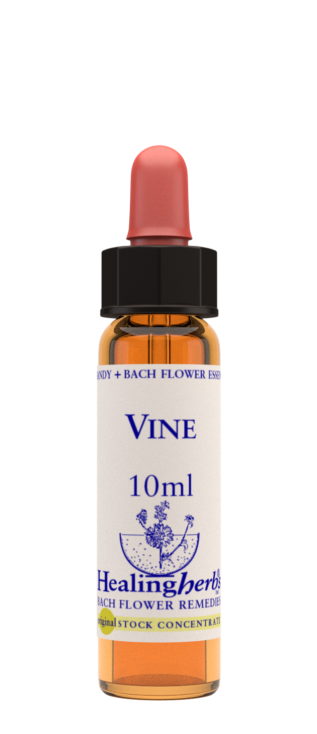 Healing Herbs Ltd Vine 10ml