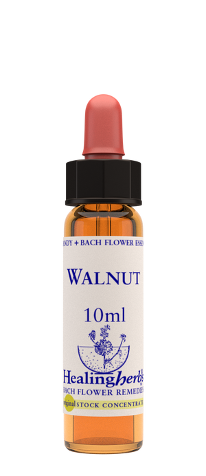 walnut 10ml