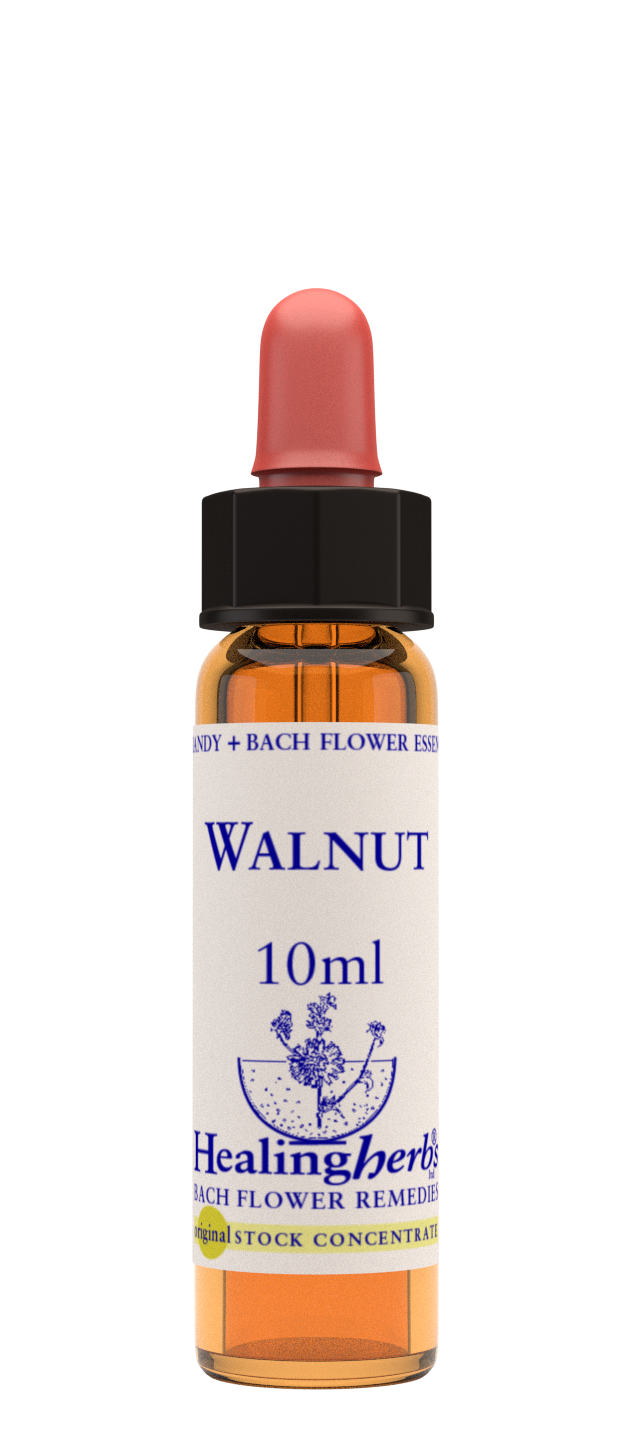 Healing Herbs Ltd Walnut 10ml