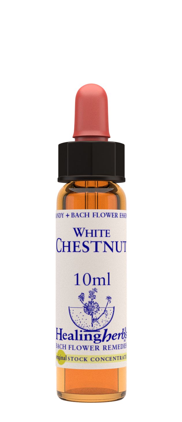 Healing Herbs Ltd White Chestnut 10ml