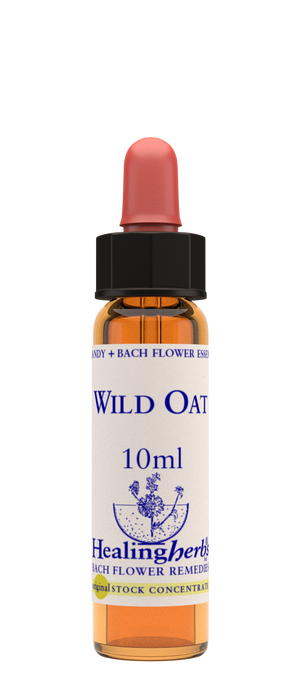 wild oat 10ml