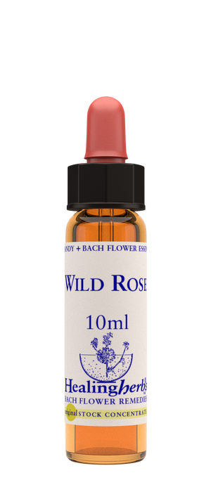 wild rose 10ml