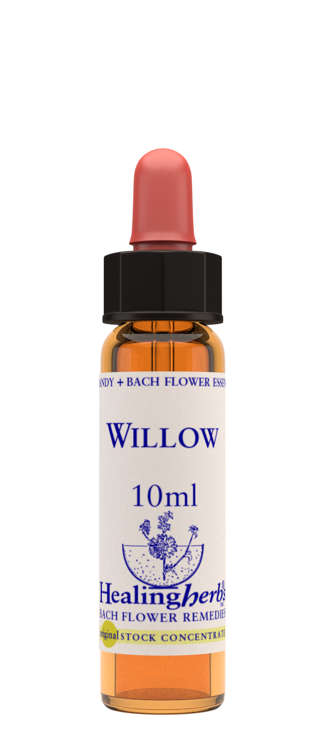 Healing Herbs Ltd Willow 10ml