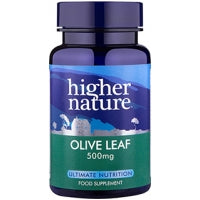 Higher Nature Olive Leaf 500mg 90's