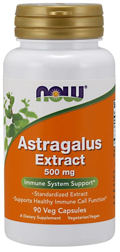 Astragalus Extract, 500mg - 90 vcaps