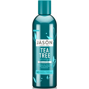 Jason Tea Tree Normalizing Shampoo 517ml