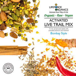 Lifeforce Organics Activated Trail Mix Bombay Style (Organic) 250g