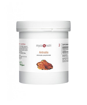 myconutri-antrodia-camphorata-powder-200g
