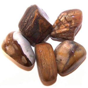 L Tumble Stones - Petrified Wood