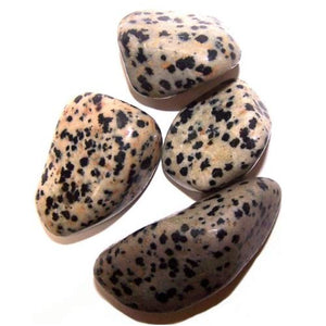 L Tumble Stones - Dalmation Stone
