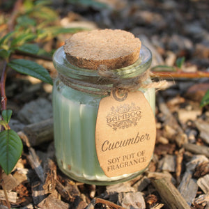 Cucumber Soy Pot of Fragrance Candles
