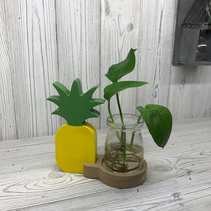 Hydroponic Home Décor - Pineapple Pot