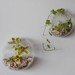 All Glass Terrarium - Small Hanging Wall Bowl