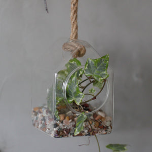 All Glass Terrarium - Hanging House on Rope