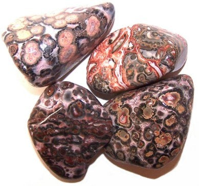 L Tumble Stones - Leopard Skin
