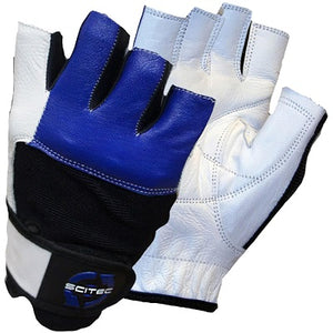 SciTec Accessories Blue Style Gloves - Medium